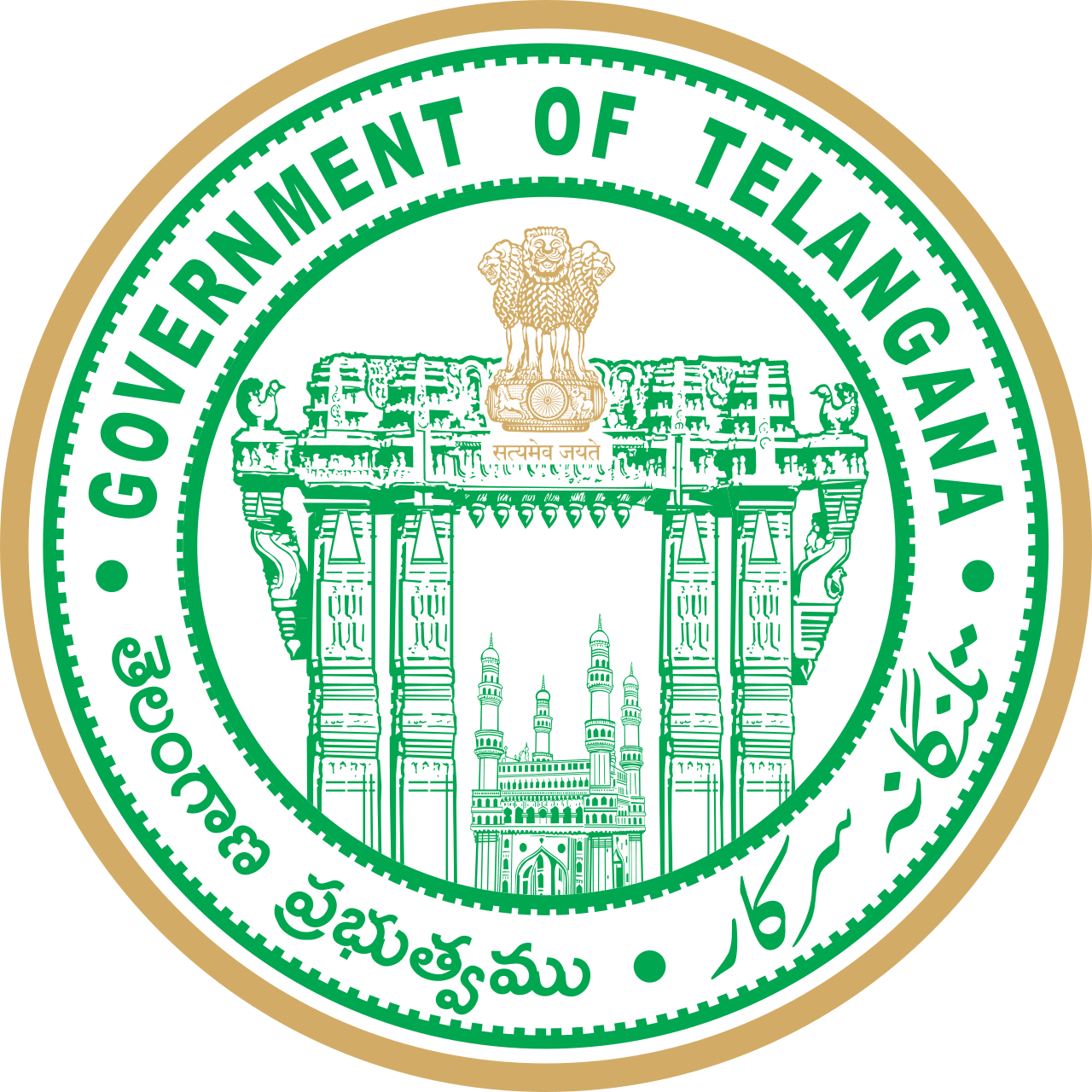 Government of TS